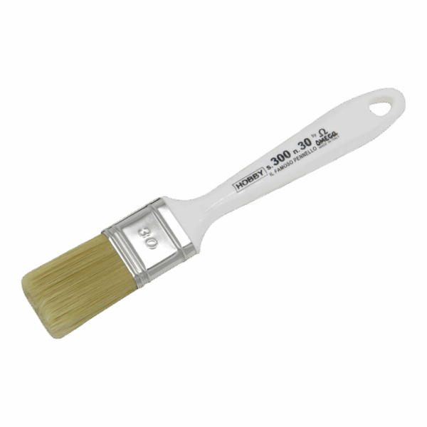 OMEGA - Hobby 300 n°30
