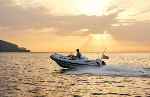 WILLIAMS JET TENDER - DieselJet 445 - Image 2