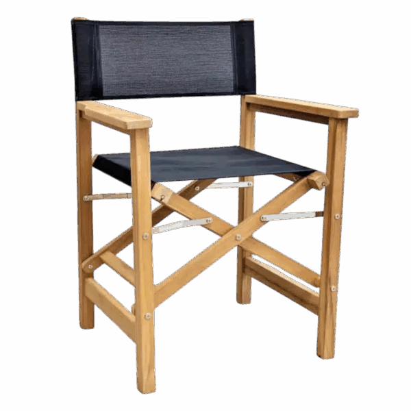 Directors Chair N°1